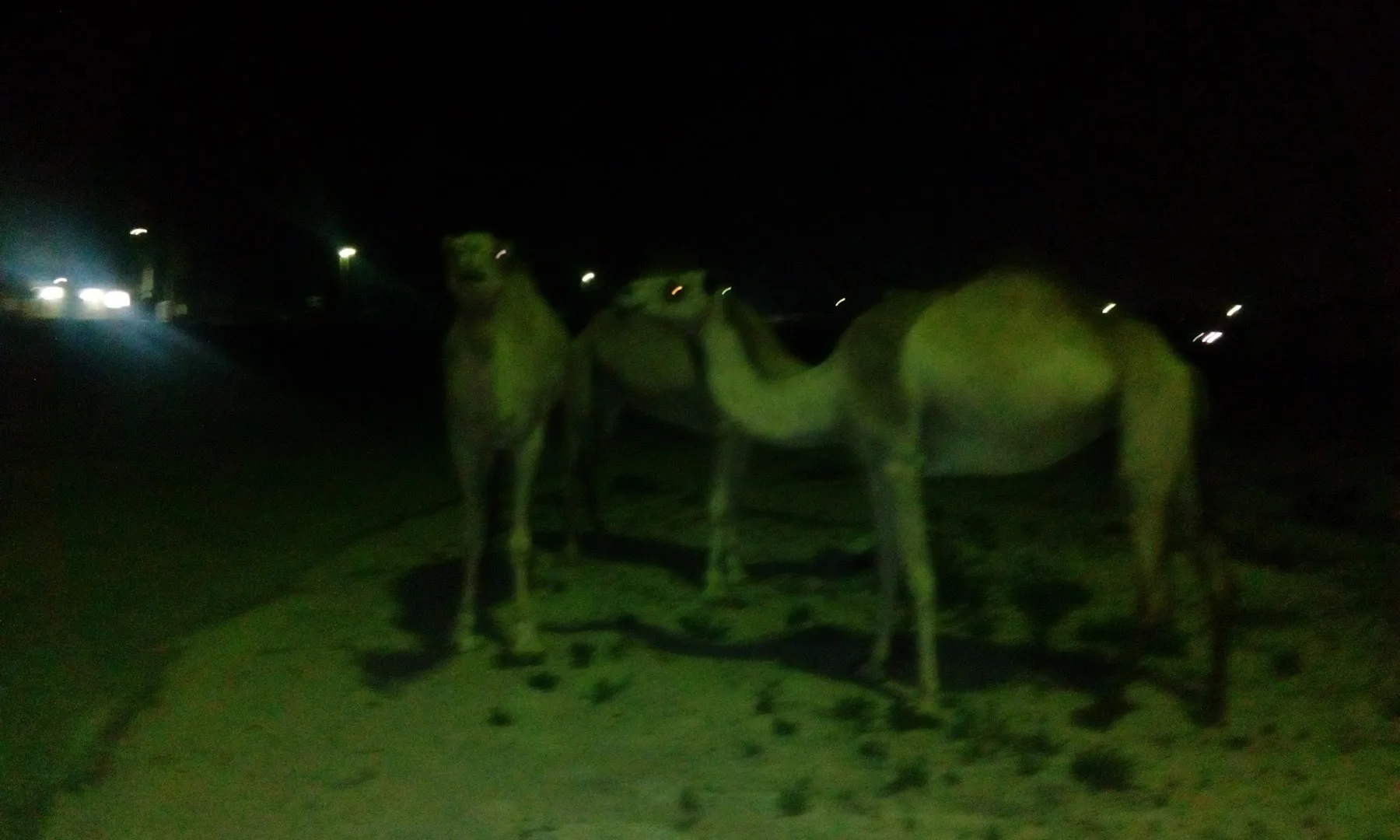 Al Rafaah